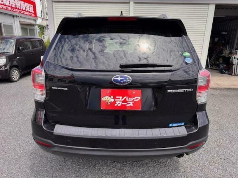 FORESTER