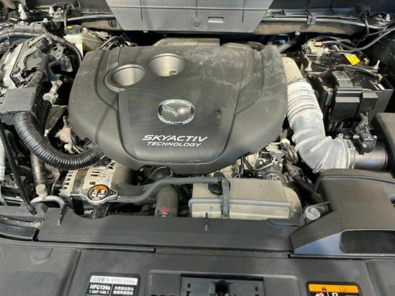 CX-8