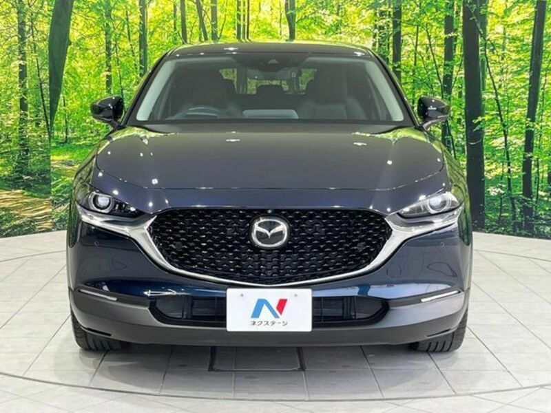 CX-30