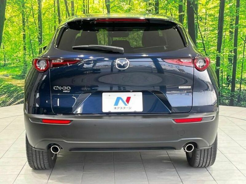 CX-30