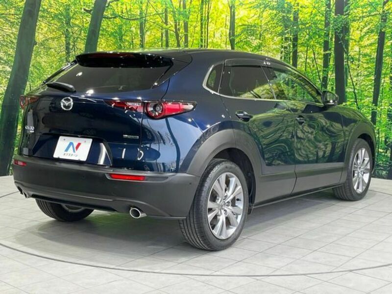 CX-30