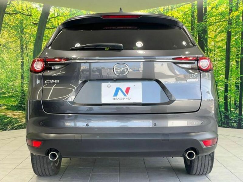 CX-8