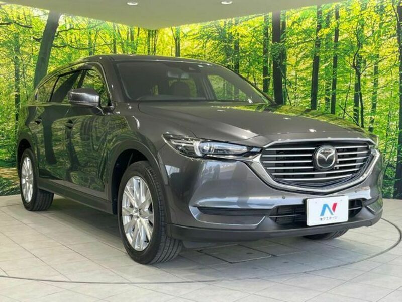 CX-8