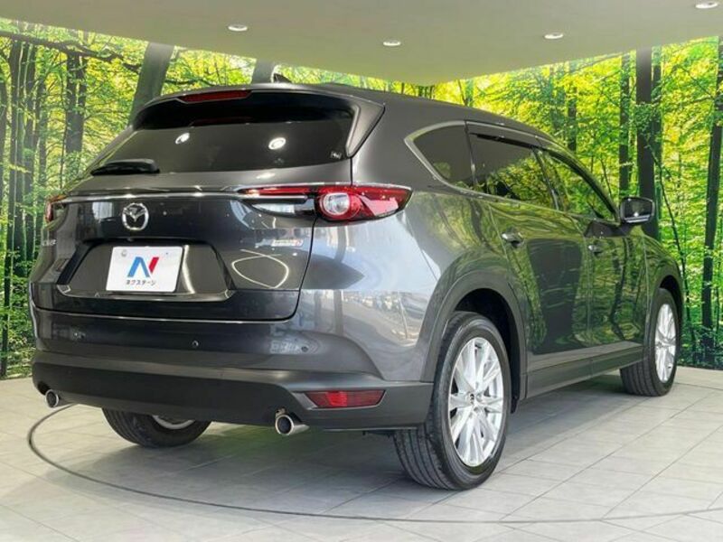CX-8