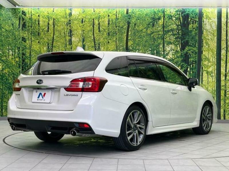 LEVORG