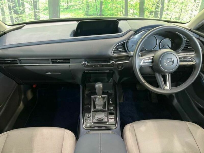 CX-30