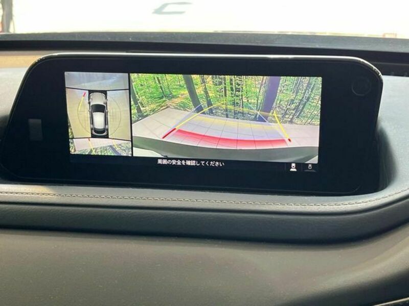 CX-30