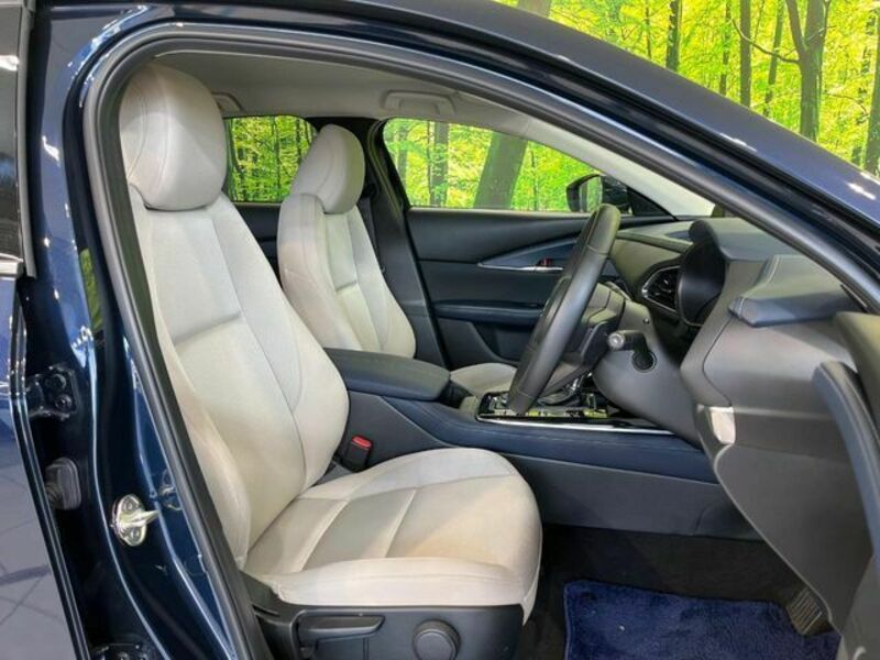 CX-30
