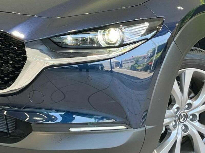 CX-30