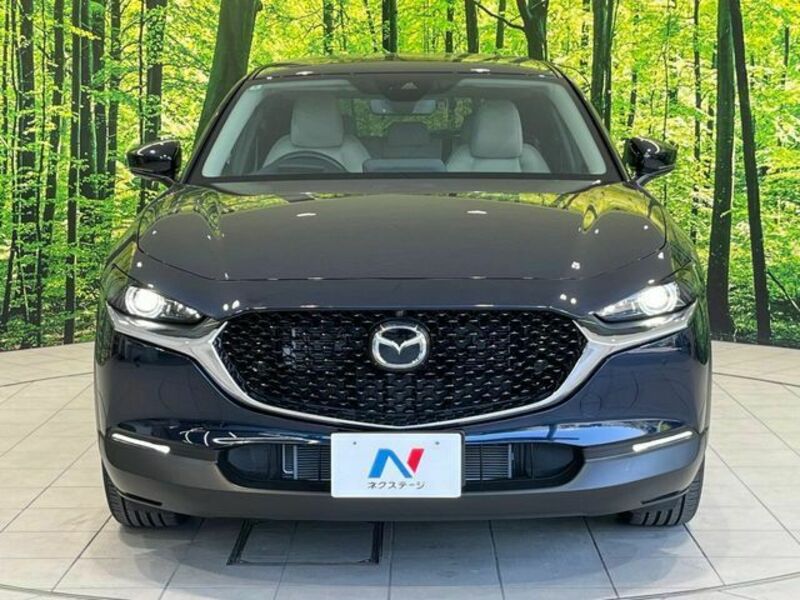CX-30