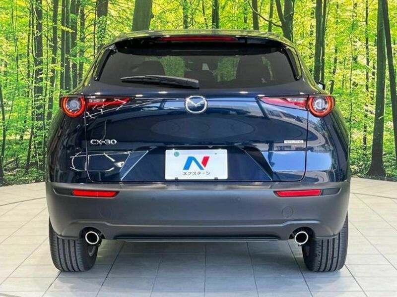 CX-30