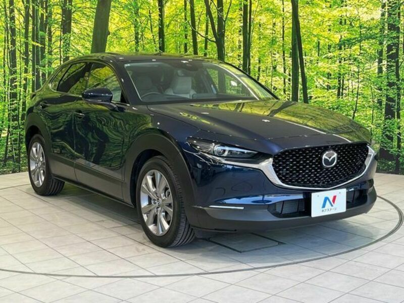 CX-30