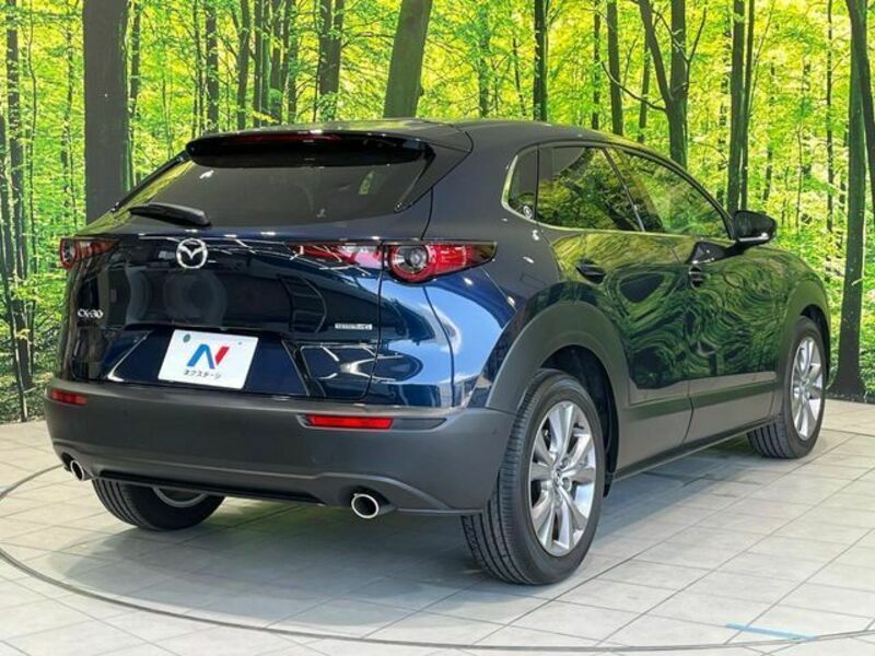 CX-30