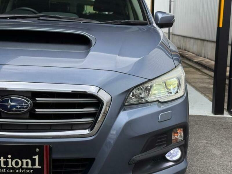 LEVORG