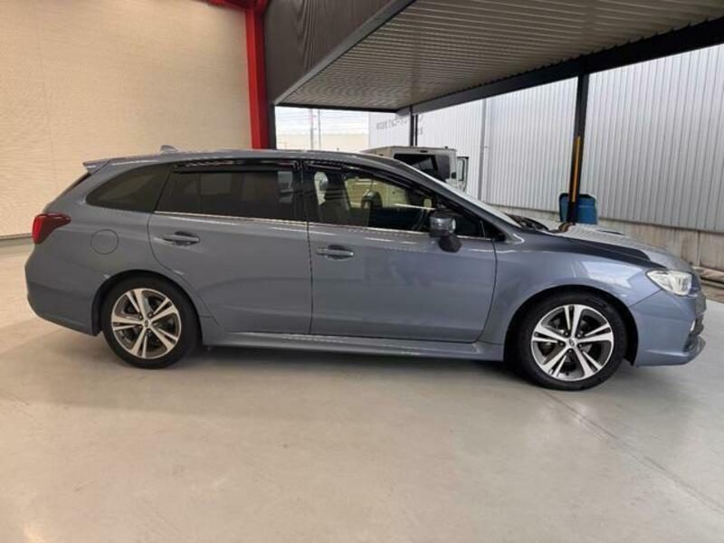 LEVORG