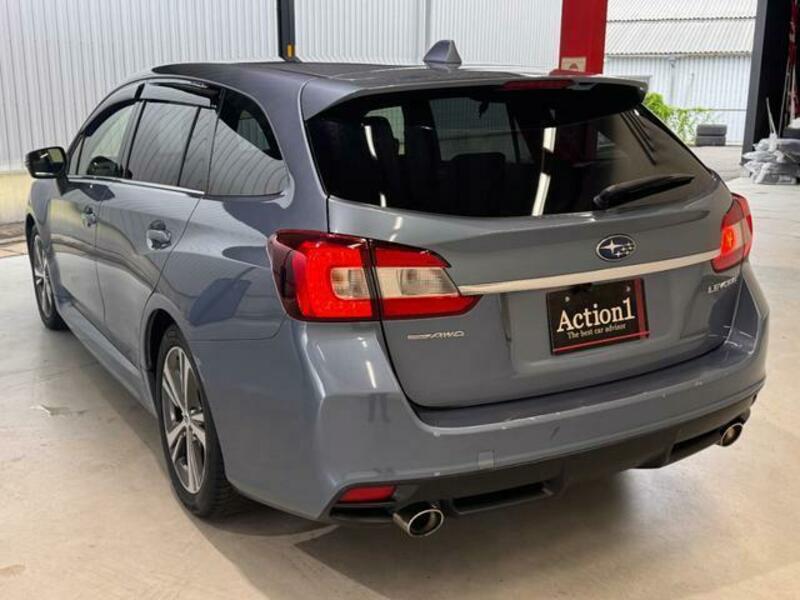 LEVORG