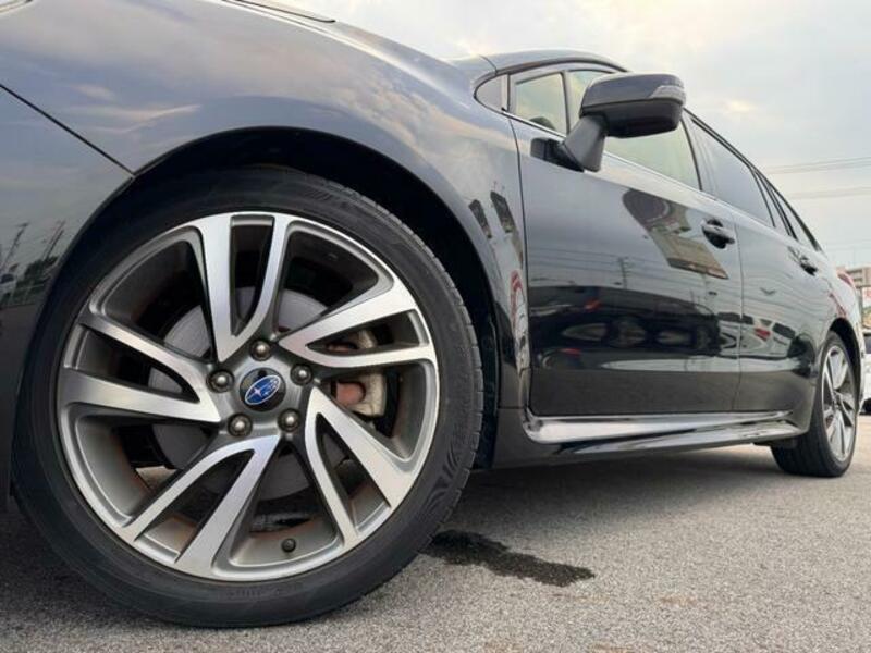 LEVORG