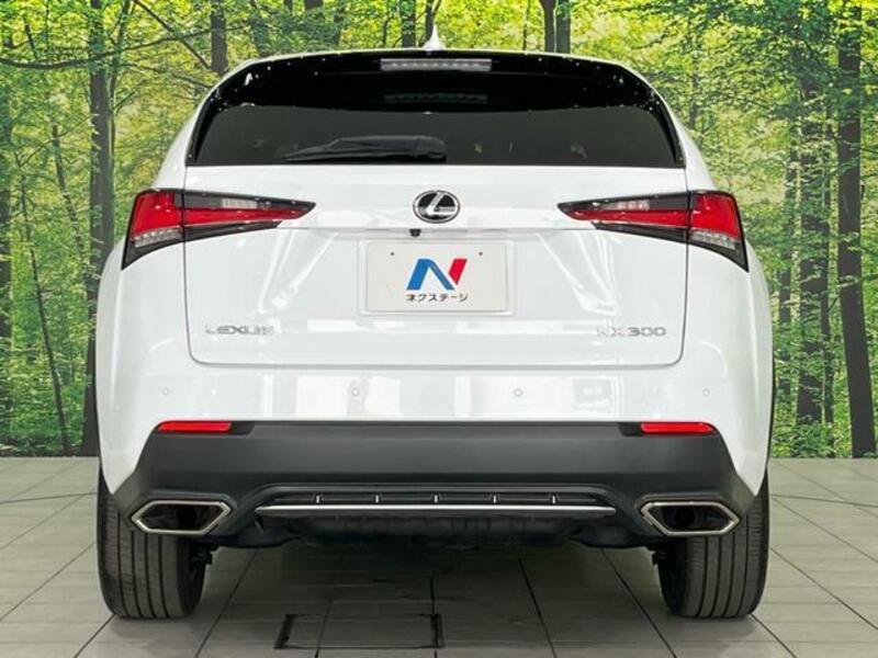NX