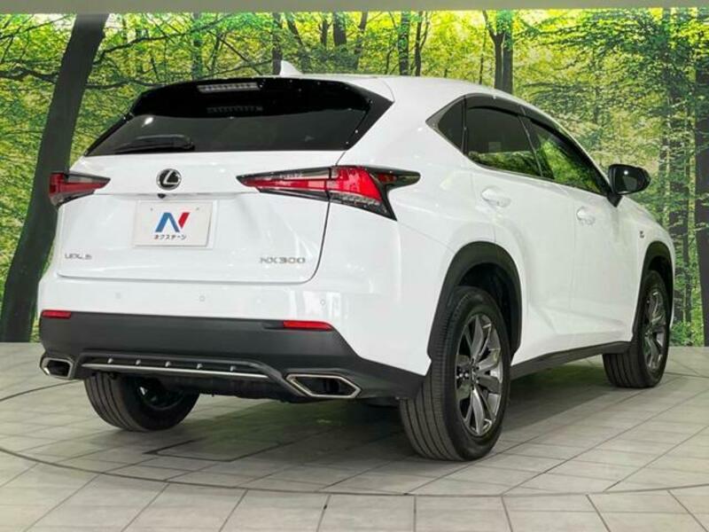 NX