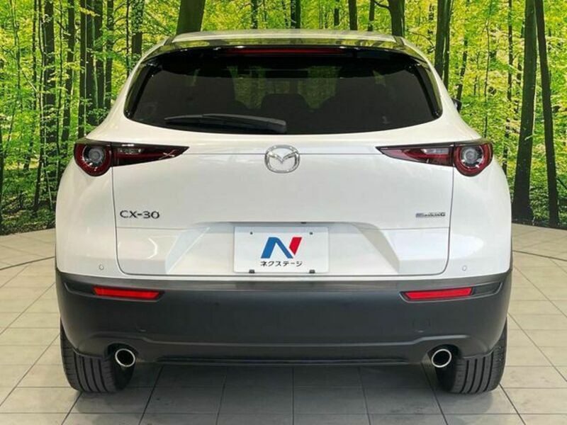 CX-30