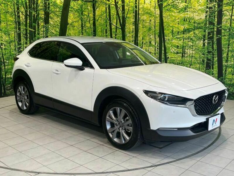 CX-30