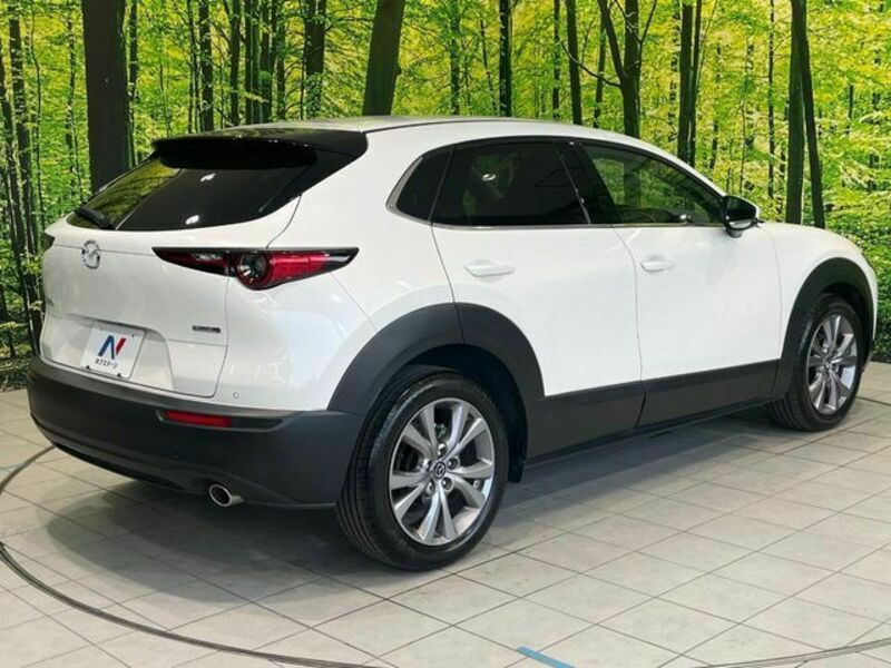 CX-30