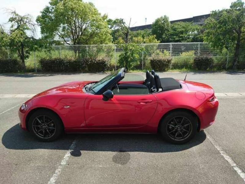 ROADSTER