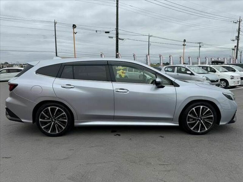LEVORG