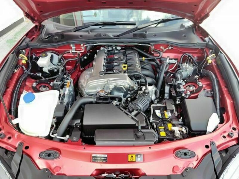 ROADSTER RF
