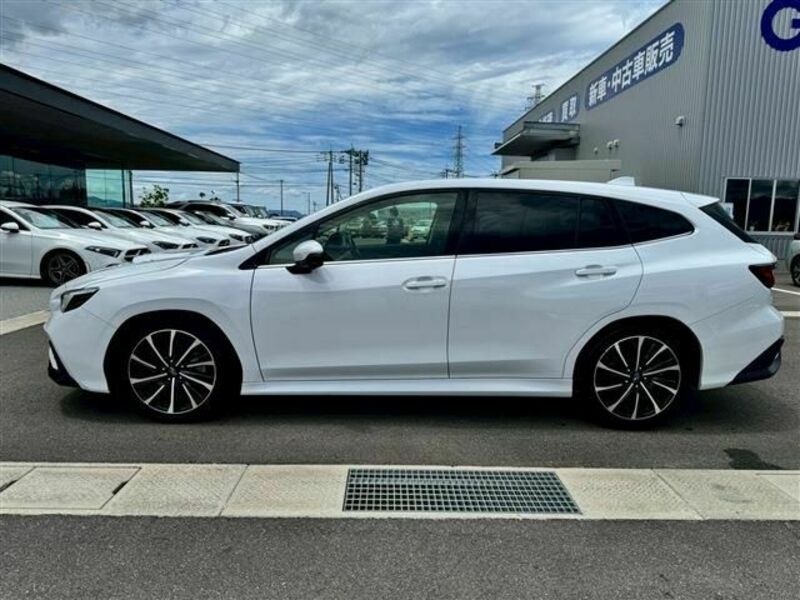 LEVORG