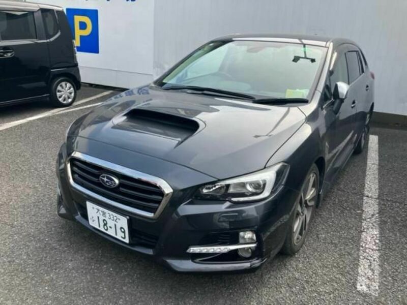 LEVORG-0