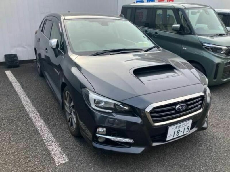 LEVORG