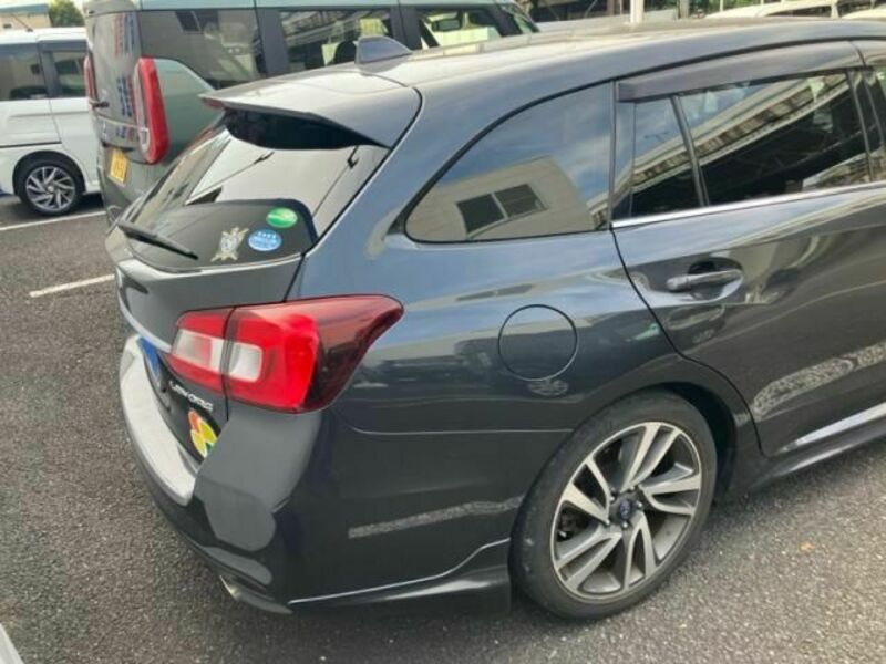 LEVORG