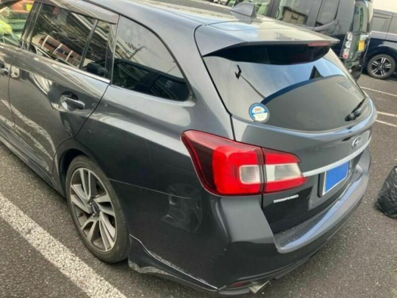LEVORG