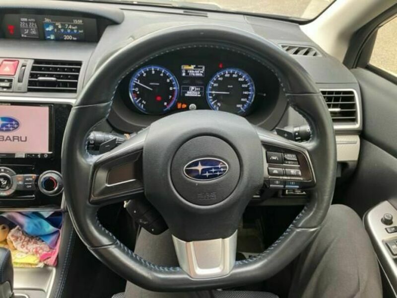 LEVORG