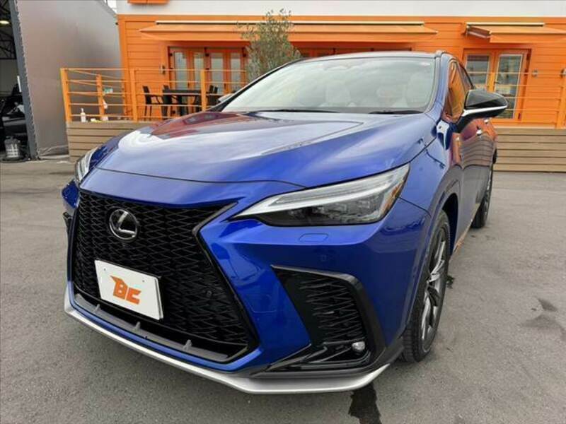 NX
