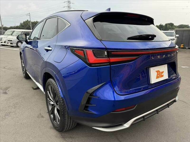 NX