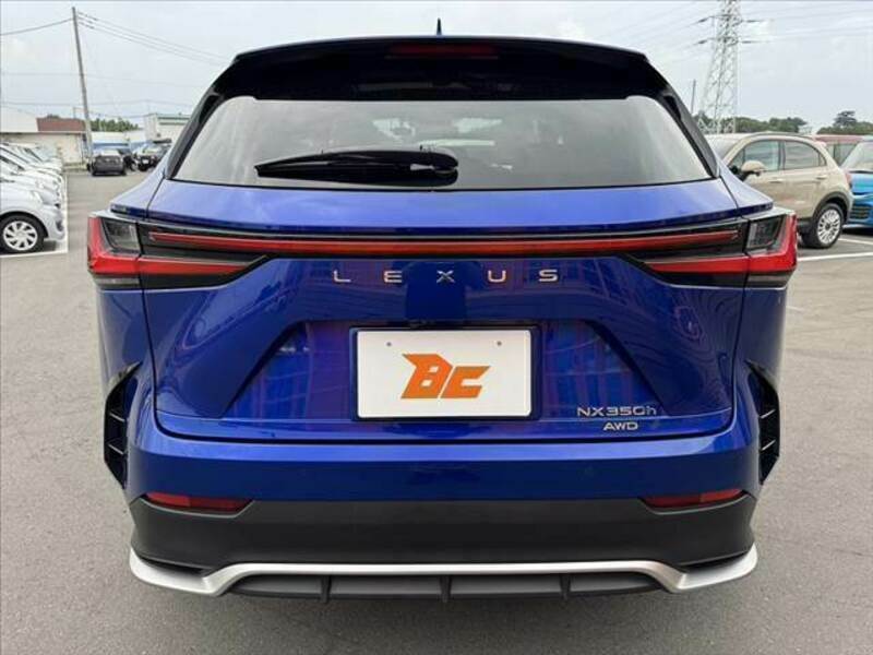 NX