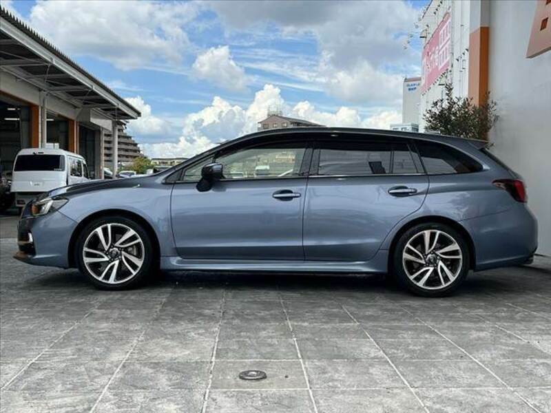 LEVORG