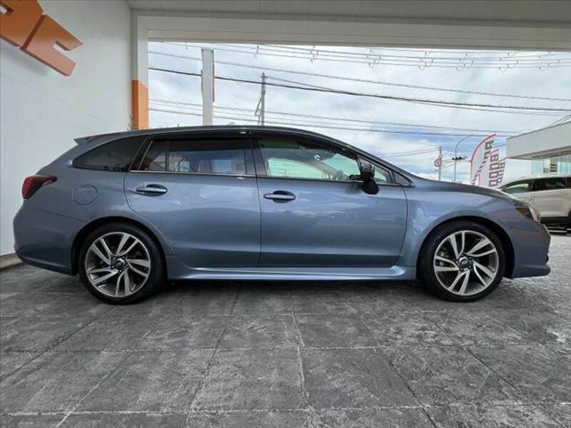 LEVORG