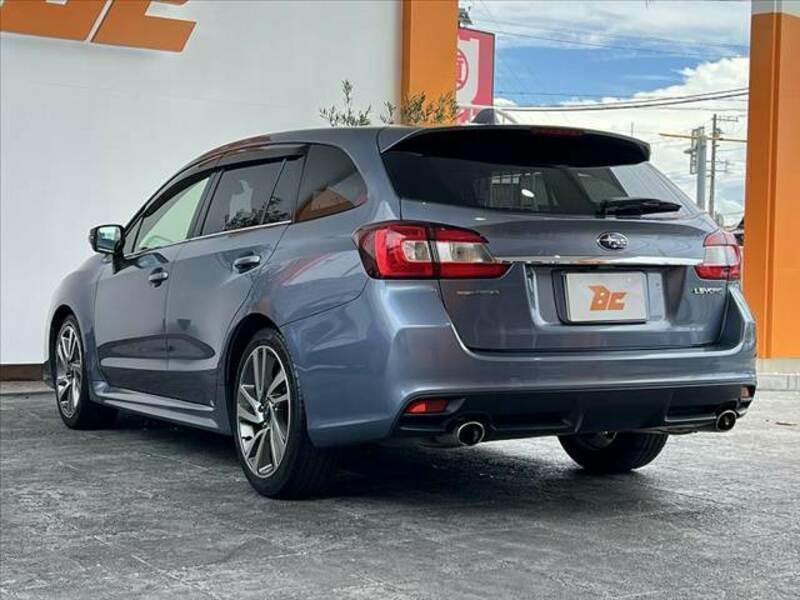LEVORG