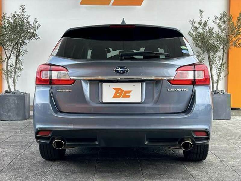 LEVORG