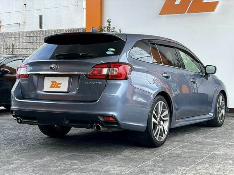 LEVORG