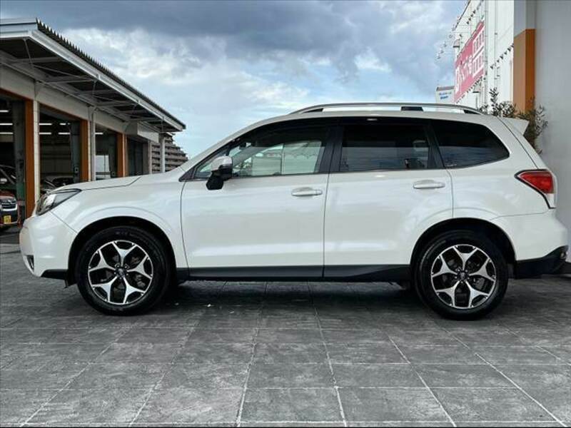 FORESTER