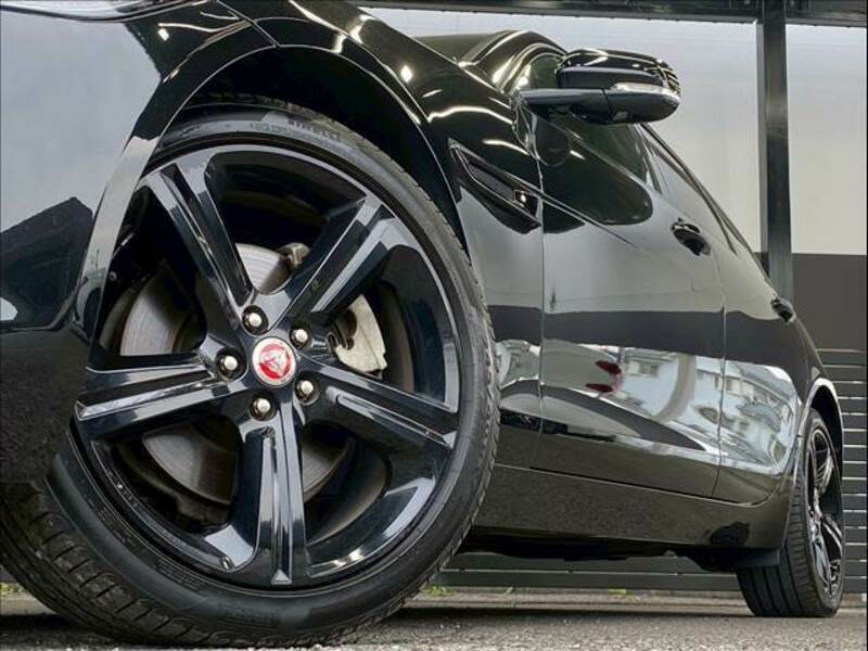 XF