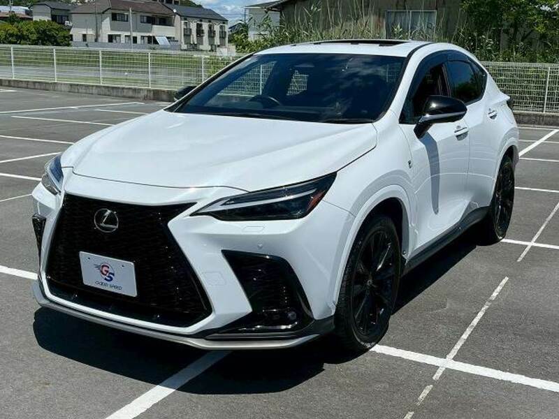 NX