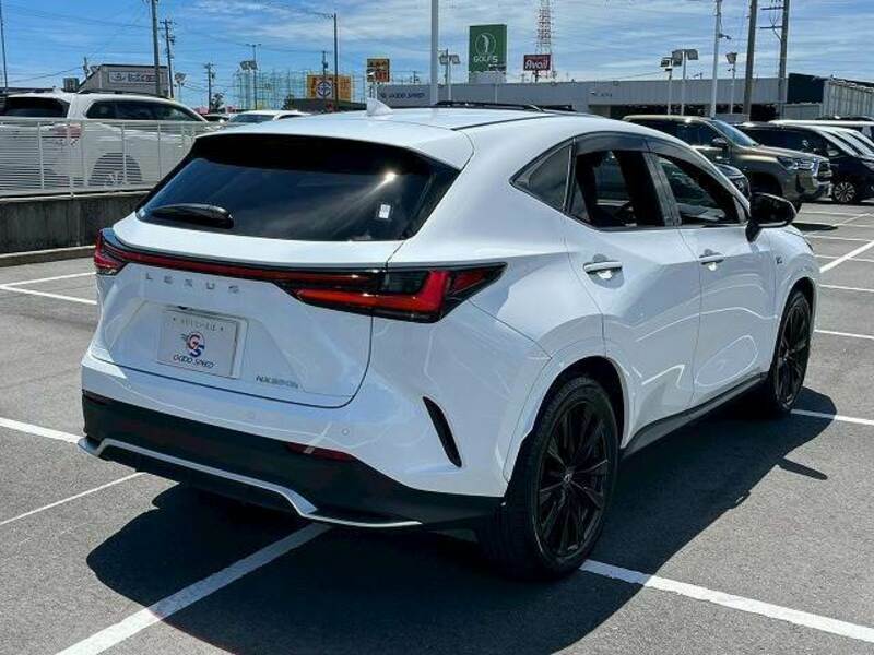 NX