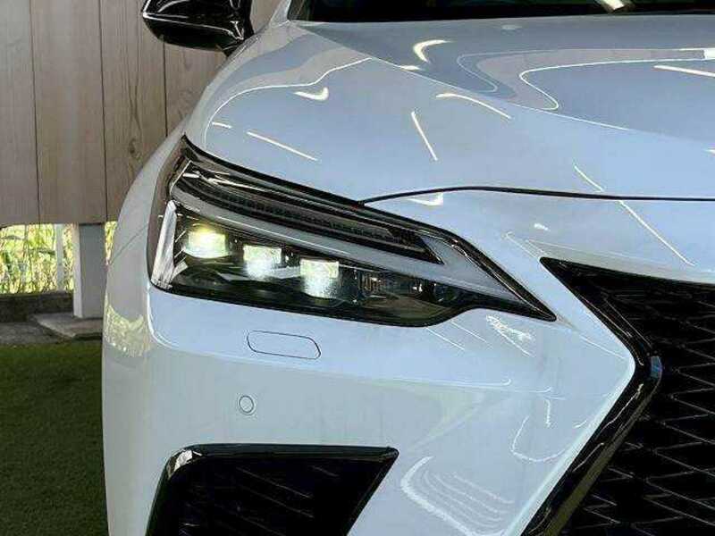 NX
