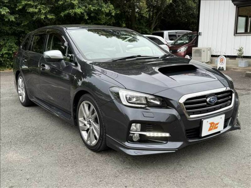 LEVORG