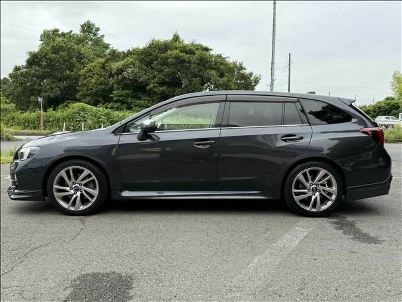 LEVORG